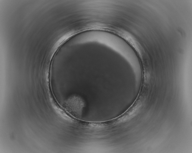 X0000111880954200907231532