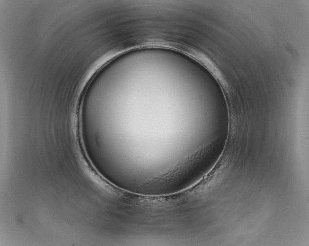 X0000111880955200907231532