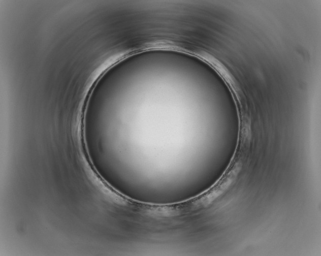 X0000111880957200907231532