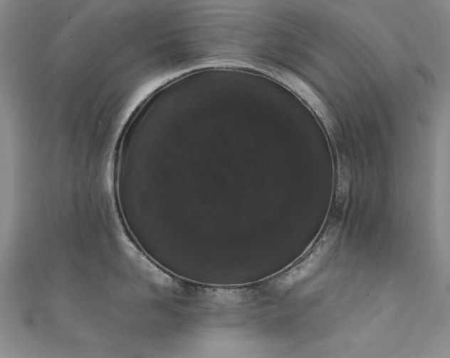 X0000111880958200907231532