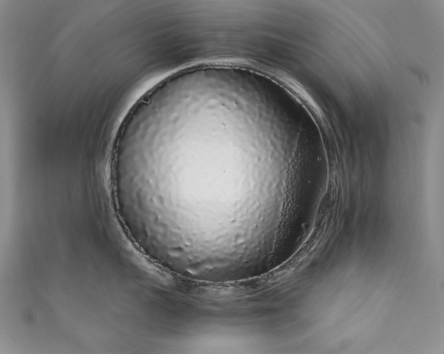 X0000111880959200907231532