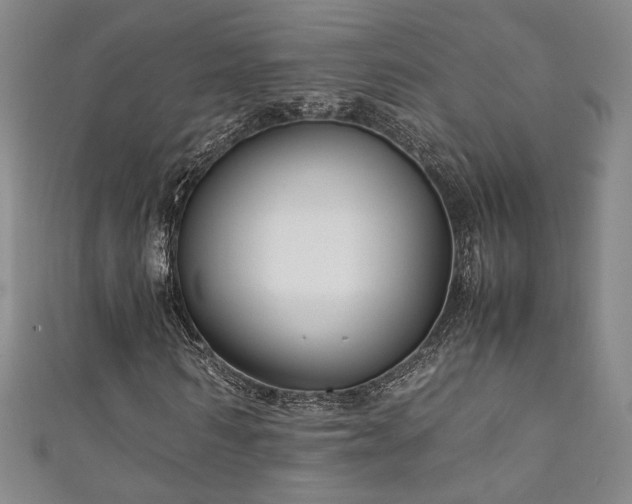 X0000111880962200907231532