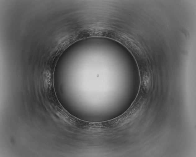 X0000111880964200907231532