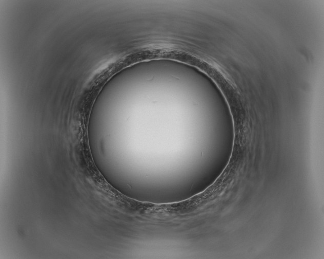 X0000111880967200907231532