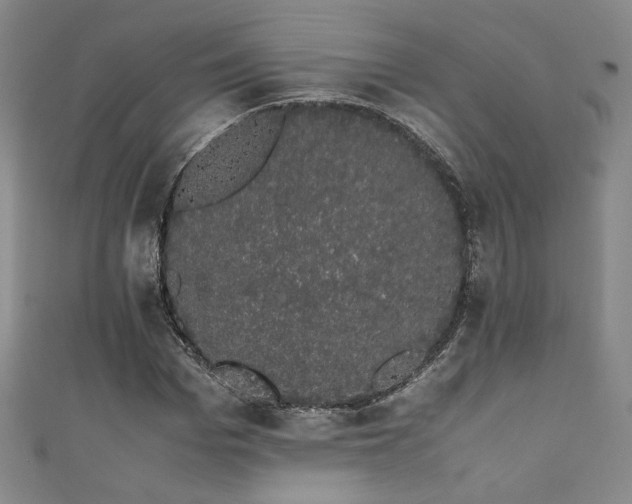 X0000111880969200907231532