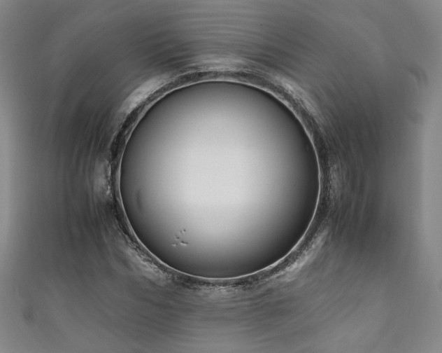 X0000111880970200907231532