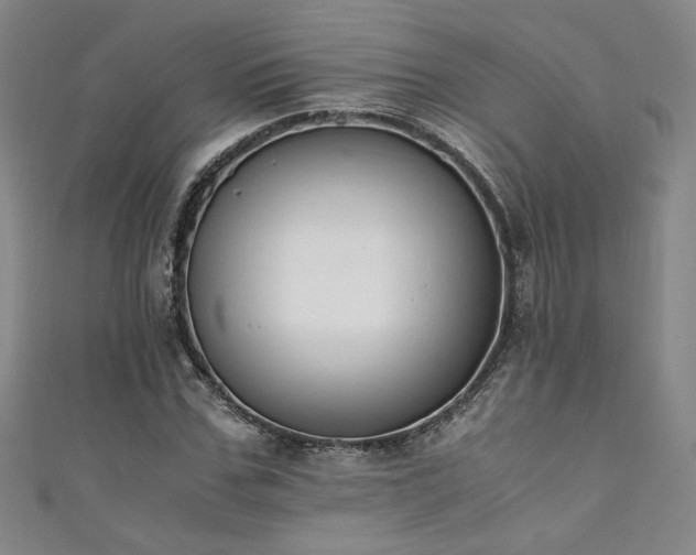 X0000111880971200907231532