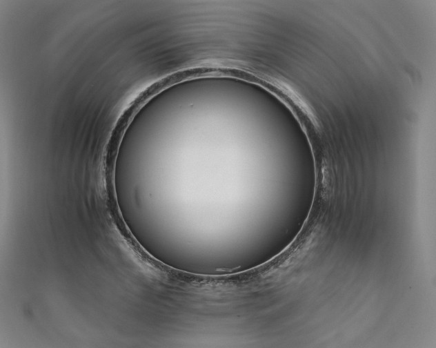 X0000111880972200907231532
