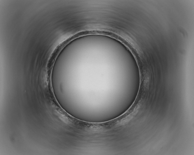 X0000111880974200907231531