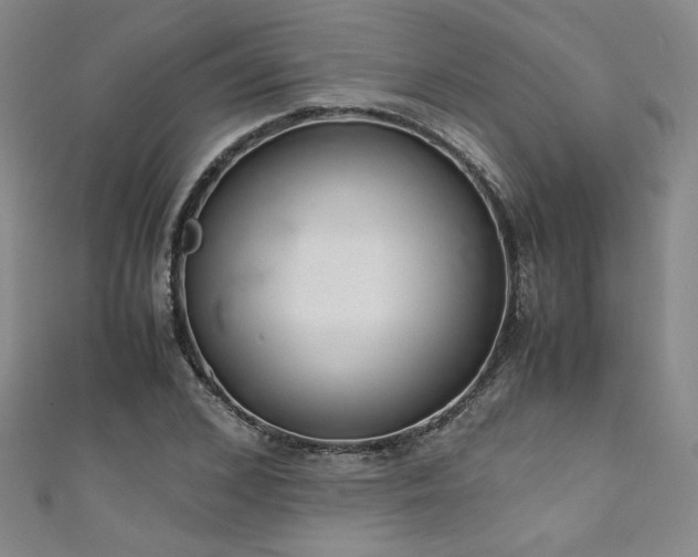 X0000111880976200907231531