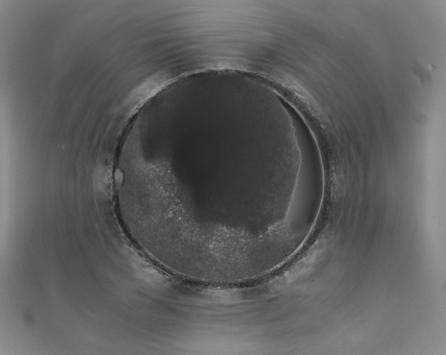 X0000111880977200907231531