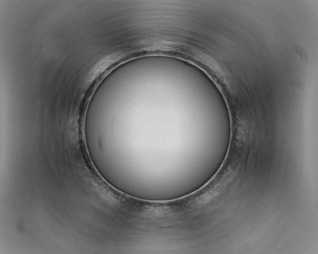 X0000111880978200907231531