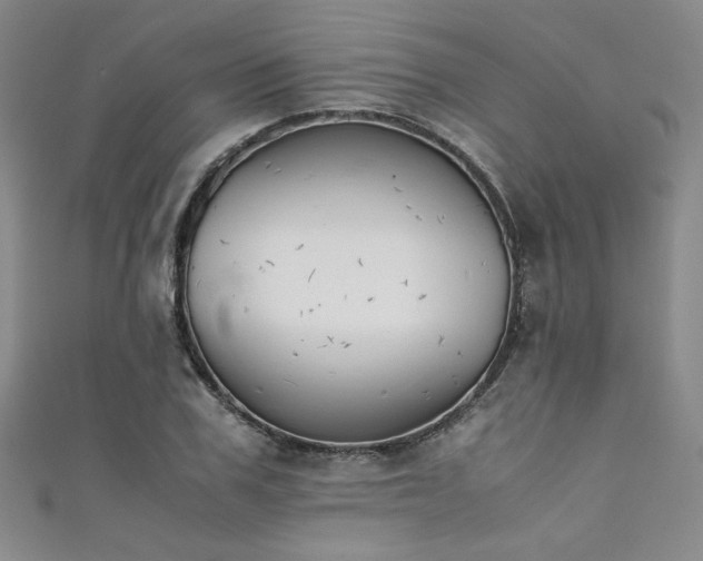 X0000111880979200907231531