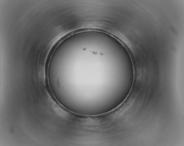 X0000111880980200907231531