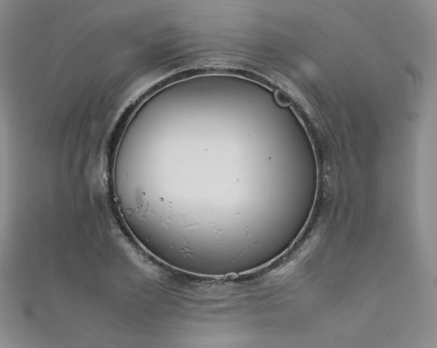 X0000111880981200907231531