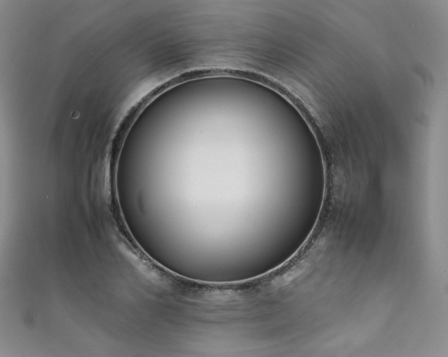 X0000111880982200907231531