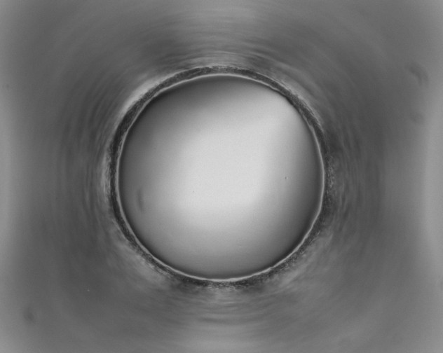 X0000111880983200907231531