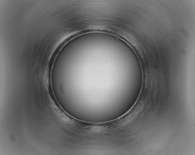 X0000111880984200907231531