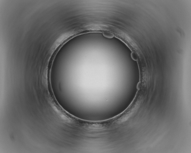 X0000111880986200907231531