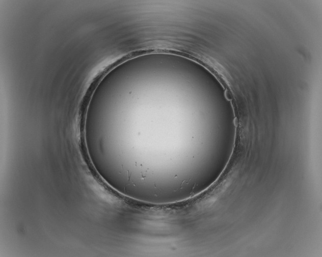 X0000111880987200907231531