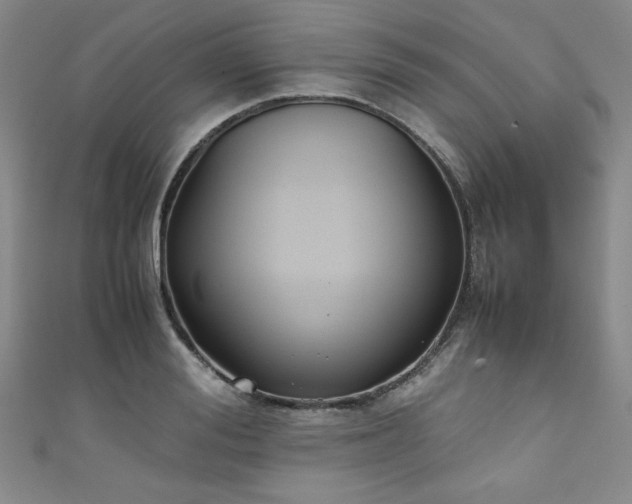 X0000111880988200907231531