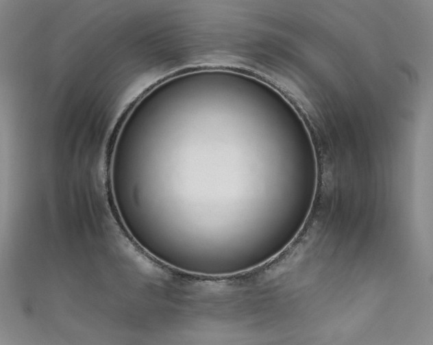 X0000111880990200907231531