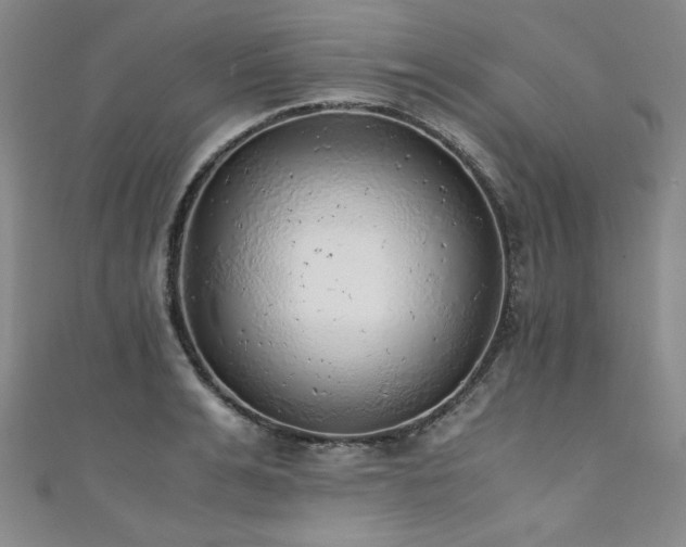 X0000111880991200907231531