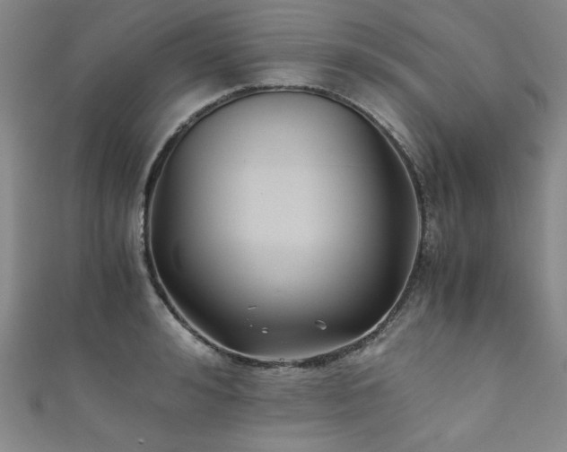 X0000111880992200907231531