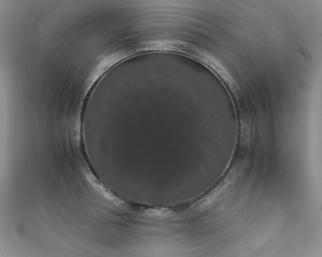 X0000111880994200907231531