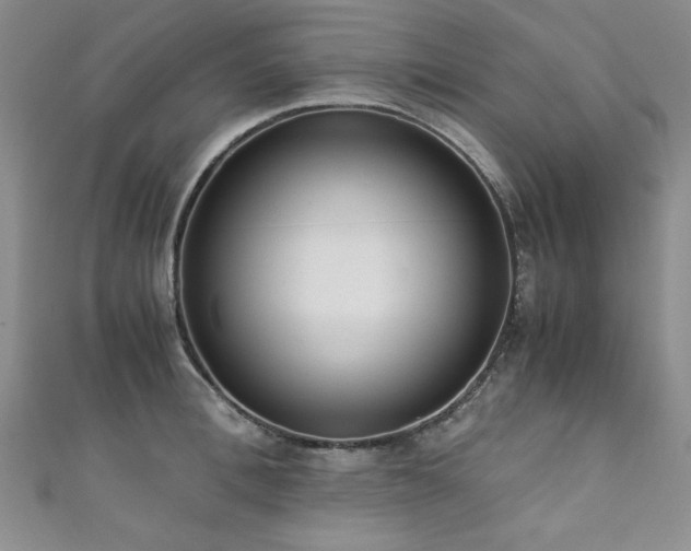 X0000111880996200907231531