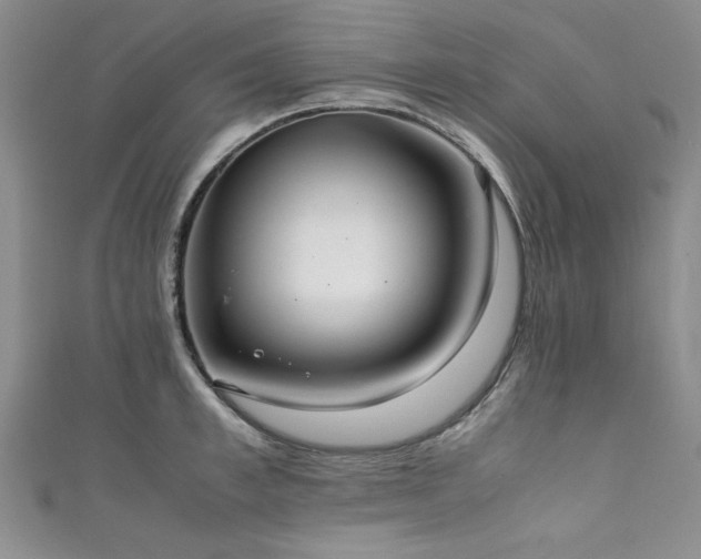 X0000111880997200907231531