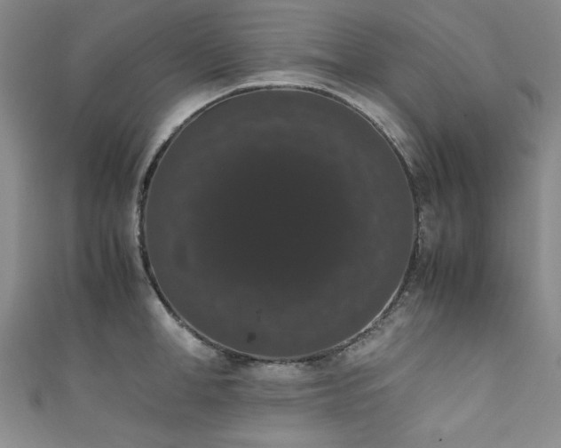 X0000111880998200907231531