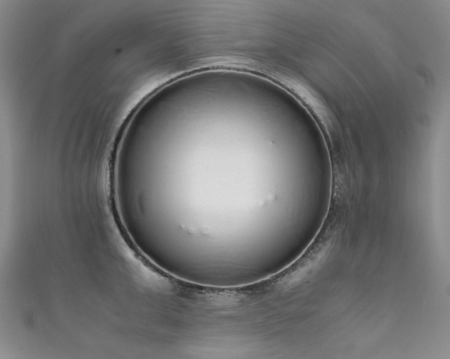 X0000111880999200907231531