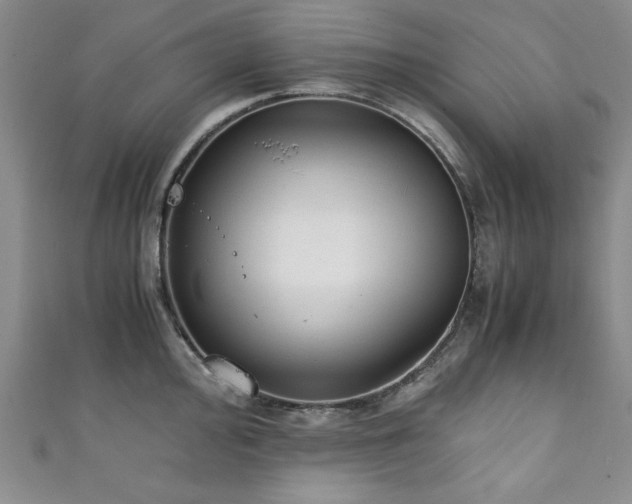 X0000111881000200907231531