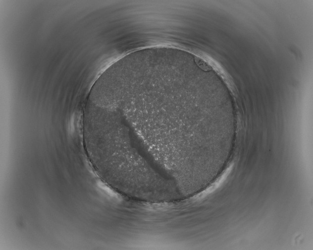 X0000111881001200907231531