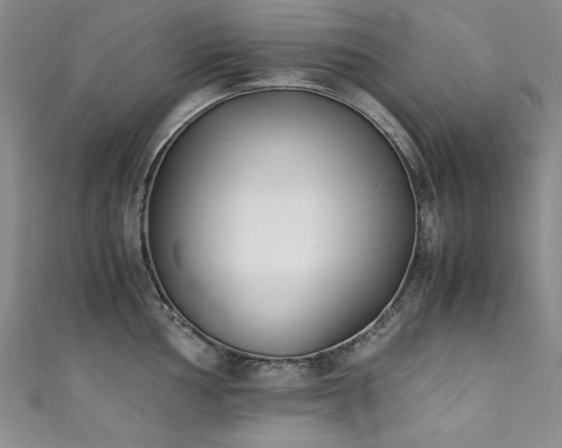 X0000111881002200907231531