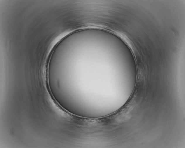 X0000111881003200907231531