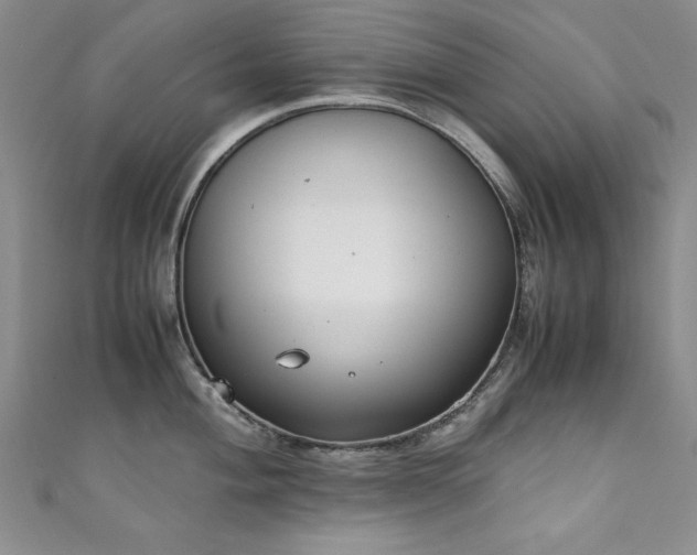 X0000111881004200907231531