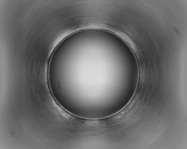 X0000111881006200907231531