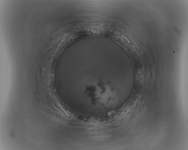 X0000111881009200907231530