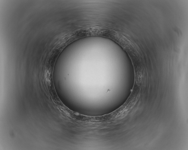 X0000111881010200907231530