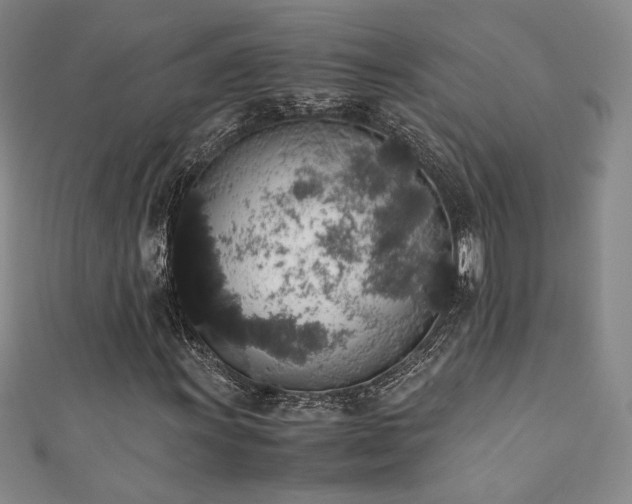 X0000111881011200907231530