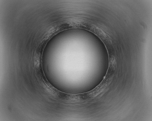 X0000111881012200907231530