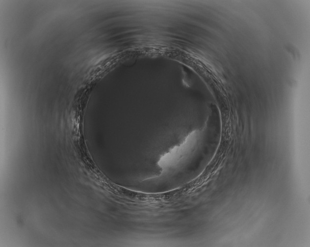 X0000111881013200907231530