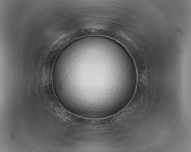 X0000111881014200907231530