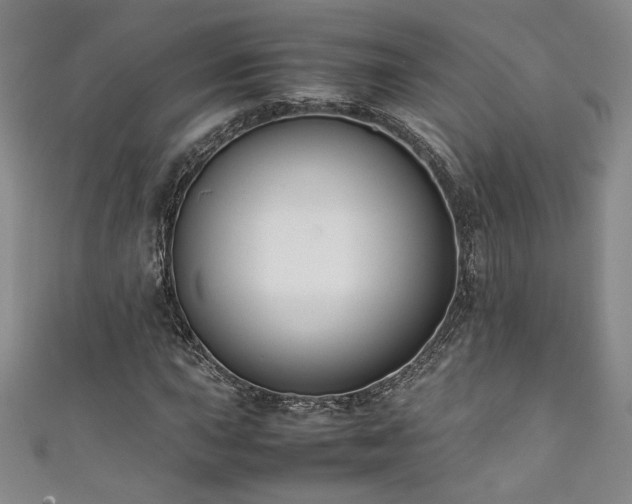 X0000111881015200907231530