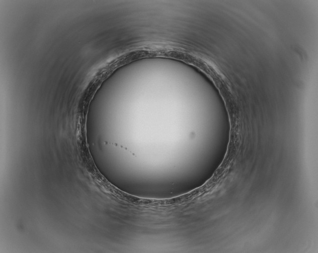 X0000111881016200907231530