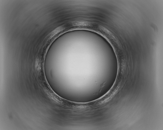 X0000111881017200907231530
