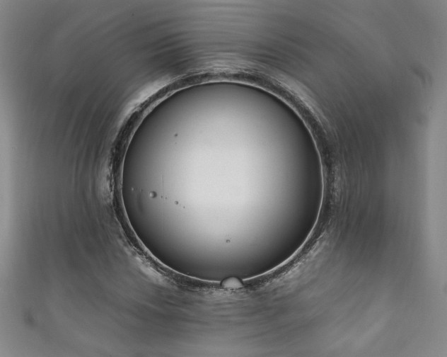 X0000111881018200907231530