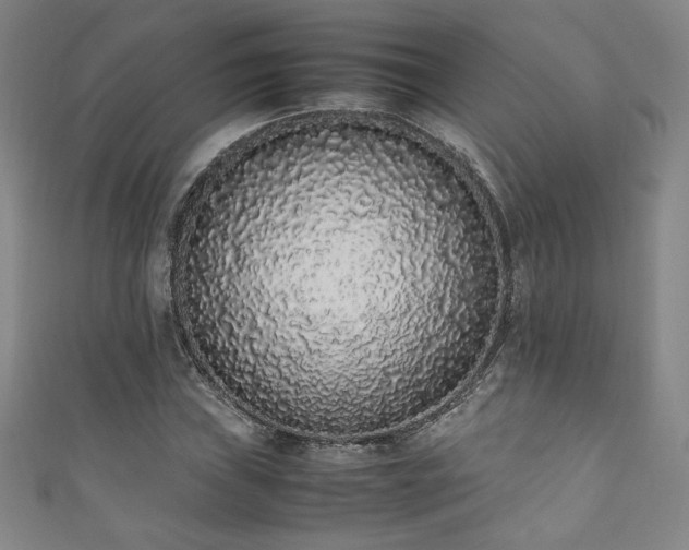 X0000111881019200907231530